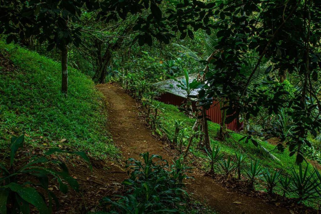 Cabana En La Montana Venecia Εξωτερικό φωτογραφία